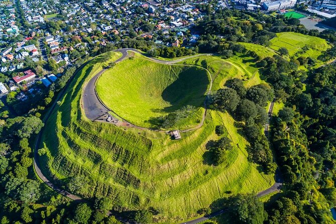 Auckland Highlight Attractions Small Group Tour - Is $99.29 good value?