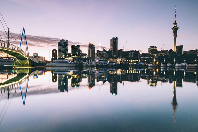 Auckland Highlight Attractions Small Group Tour - Harbour Bridge: a useful opening view