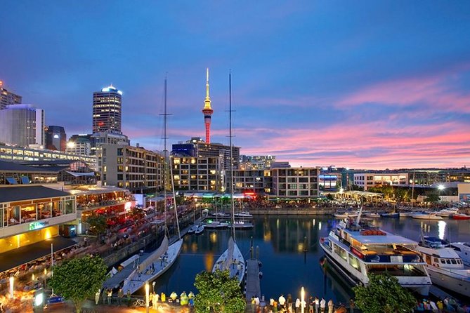 Auckland Highlight Fullday City Tour - One Tree Hill and Cornwall Park