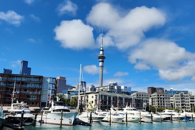 Auckland Highlights Full Day Guided Tour - Key points to know before booking