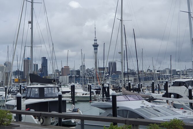 Auckland Highlights Full Day Guided Tour - One Auckland day, from yachts to black sand