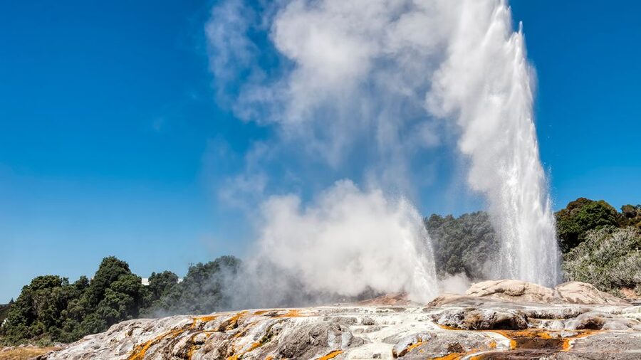 Auckland: Hobbiton and Rotorua Day Tour including Te Puia - What the $256 price really covers