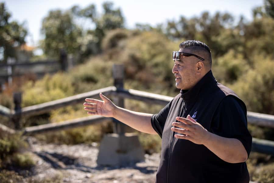 Auckland: Hobbiton and Rotorua Day Tour including Te Puia - Who should book this Auckland day trip?