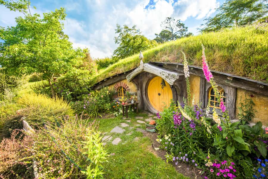 Auckland: Hobbiton Movie Set Tour with Lunch - Who will enjoy this day most