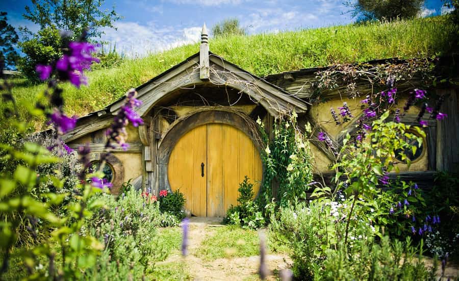 Auckland: Hobbiton Movie Set Tour with Lunch - The road back to Auckland