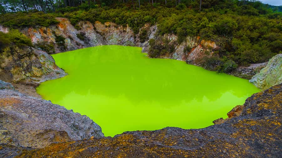 Auckland: Hobbiton, Rotorua and Wai-O-Tapu Day Tour - Rotorua in a compact city tour