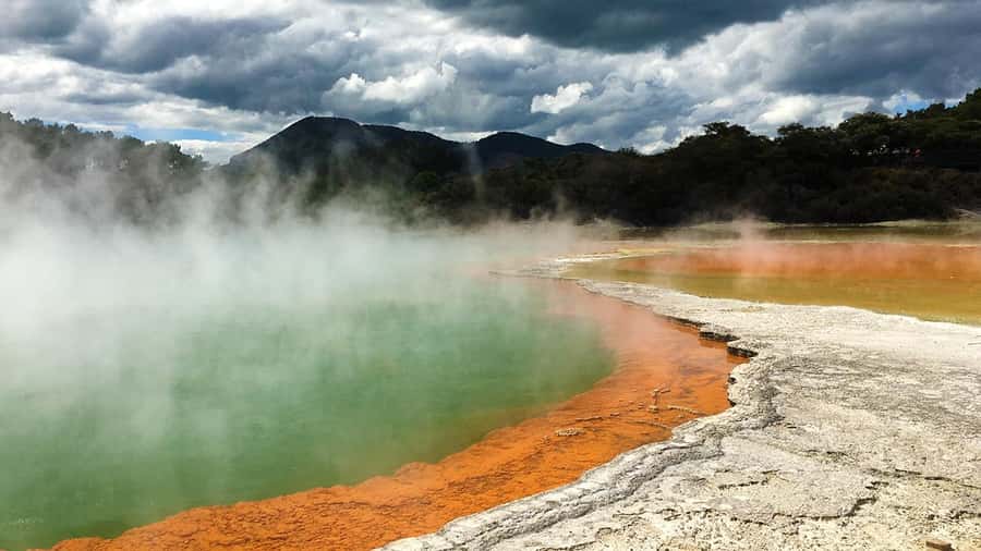Auckland: Hobbiton, Rotorua and Wai-O-Tapu Day Tour - Is $256 a fair price?