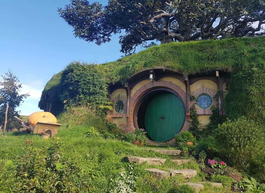 Auckland: Hobbiton, Rotorua, Waiotapu and Waitomo 3-Day Tour - Auckland pickup and the small-group setup