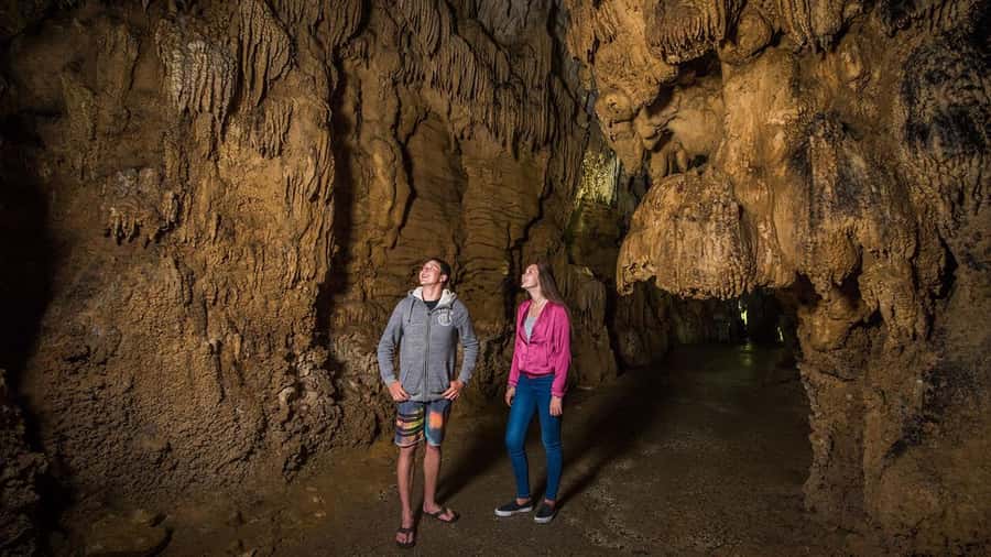 Auckland: Hobbiton, Waitomo Caves, and Rotorua 1-Way Tour - Practical ways to enjoy the long day