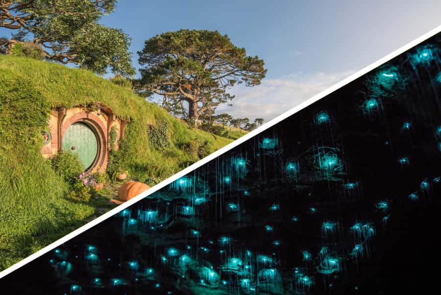 Auckland: Hobbiton, Waitomo Caves, and Rotorua 1-Way Tour - Leaving Auckland in a 16-seat minibus