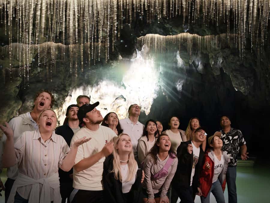 Auckland: Hobbiton & Waitomo Caves Small-Group Tour & Lunch - Waitomo Glowworm Caves: the quiet highlight