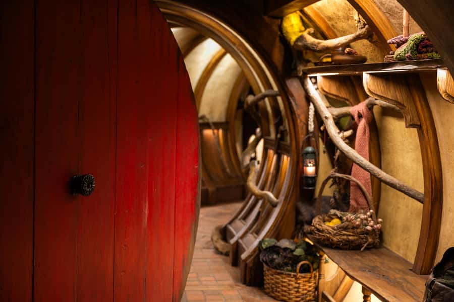 Auckland: Hobbiton & Waitomo Glow Worm Caves Private Tour - Key points to know before booking
