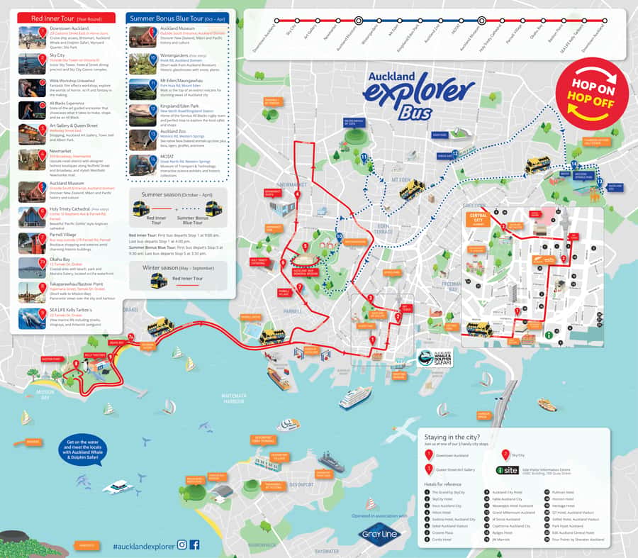 Auckland: Hop-On Hop-Off Explorer Bus Ticket - The Blue route from October through April