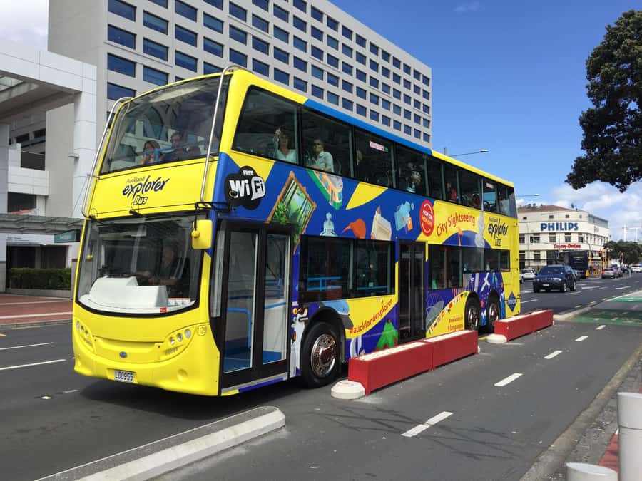 Auckland: Hop-On Hop-Off Explorer Bus Ticket - Who should buy the $38 ticket?
