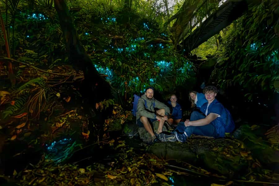 Auckland: Inner-City Glowworm Experience in Ancient Volcano - Seeing glowworms beside the stream and waterfall