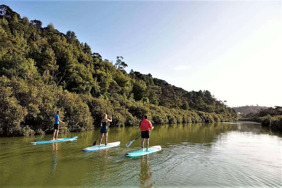 Auckland: Lucas Creek Waterfall SuP Tour - Why the 30-Minute Briefing Matters