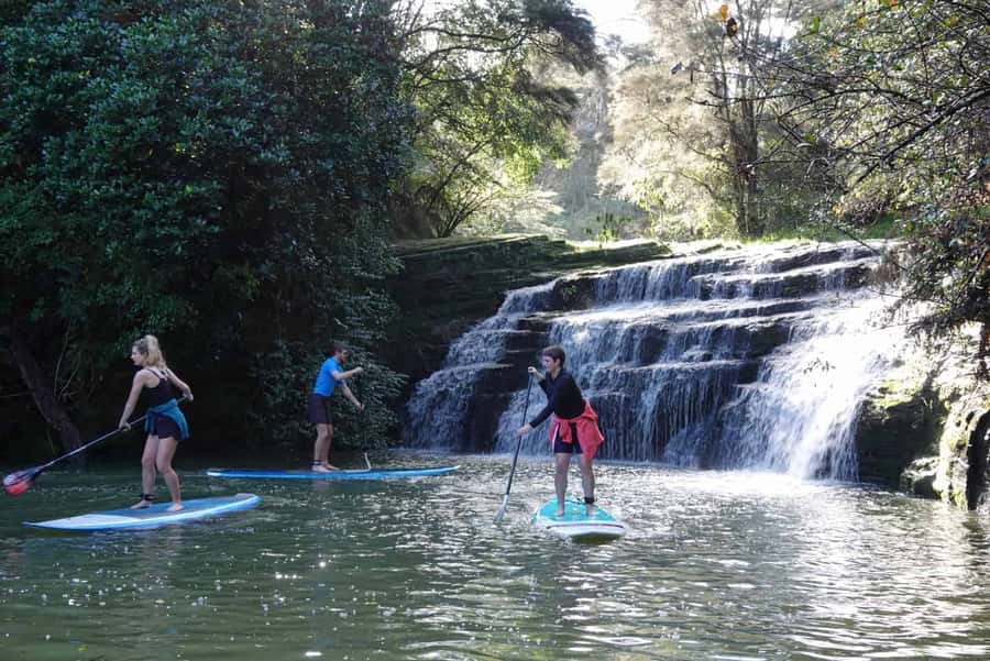 Auckland: Lucas Creek Waterfall SuP Tour - Lucas Creek Waterfall and the Natural Sights