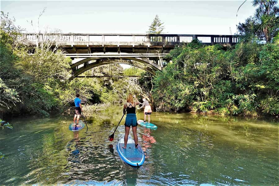 Auckland: Lucas Creek Waterfall SuP Tour - Paddling the Lucas Creek Waterway