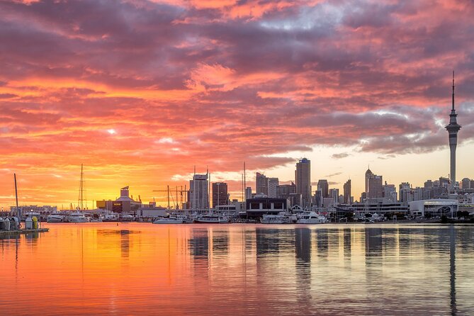 Auckland Māori Culture Experience - Private Tour - What the private format changes