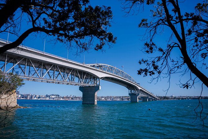 Auckland Museum and Highlight Sightseeing Tour - Why this four-hour Auckland route works