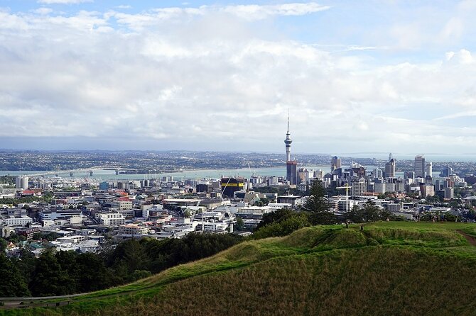 Auckland Museum and Highlight Sightseeing Tour - Who will enjoy this Auckland sightseeing tour?