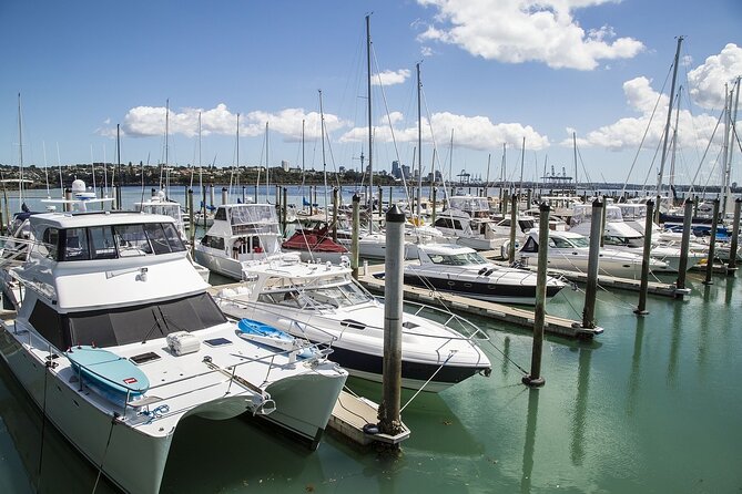 Auckland Museum and Highlight Sightseeing Tour - Starting at the Harbour Bridge
