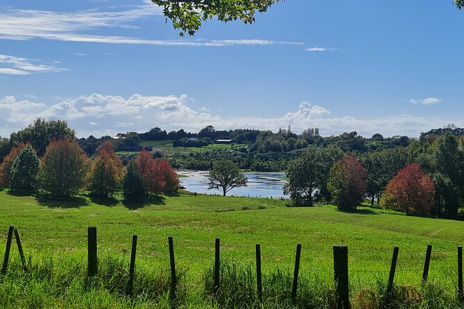 Auckland Nature Tour - Two hours among the paths at Ayrlies Garden and Wetlands