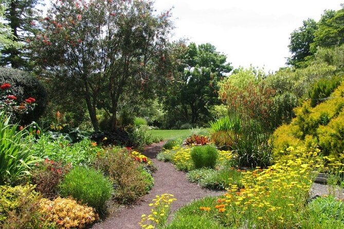Auckland Nature Tour - Should you book the Auckland Nature Tour?