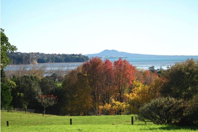 Auckland Nature Tour - Maungakiekie / One Tree Hill for trees, sheep, and open space