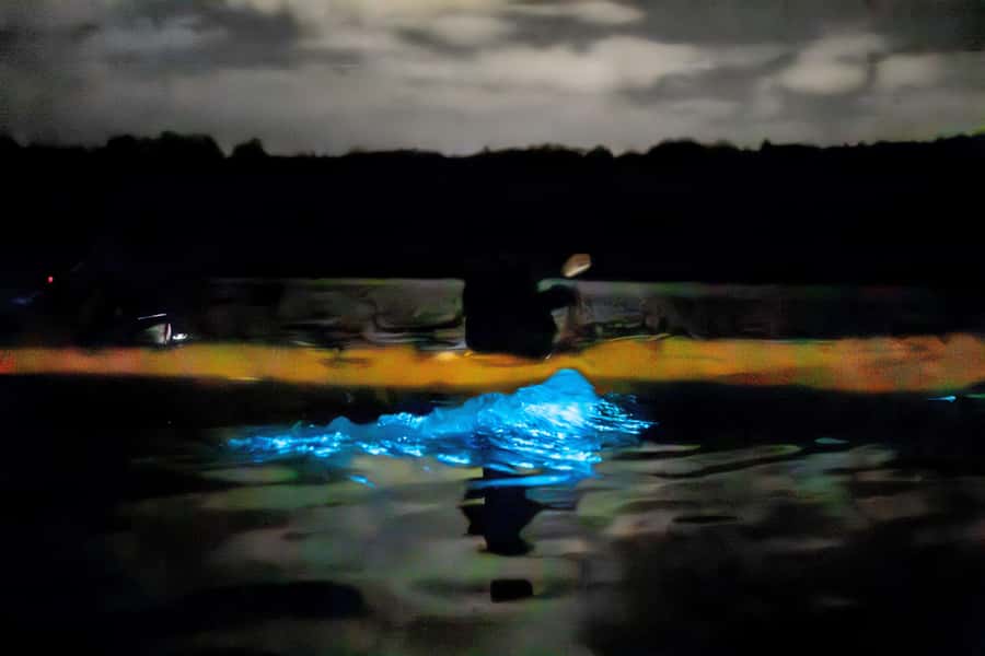 Auckland: Night Kayak Tour in Glowing Bioluminescent Waters - The 15-minute break and return to shore