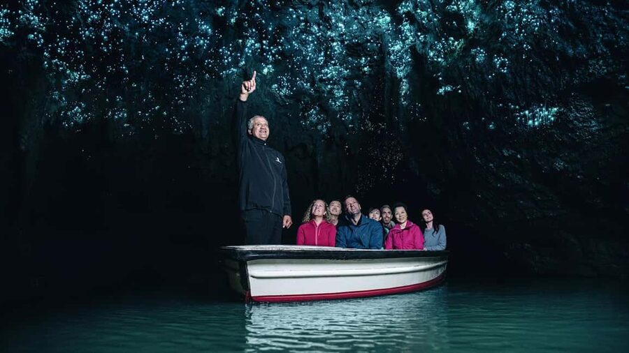 Auckland: One-Way Tour to Rotorua with Waitomo Caves - Key points at a glance