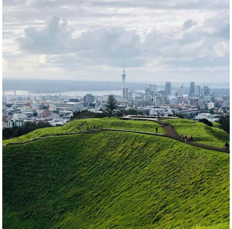 Auckland: Piha Beach, Rainforest, & Mount Eden Private Tour - Why this half-day route works