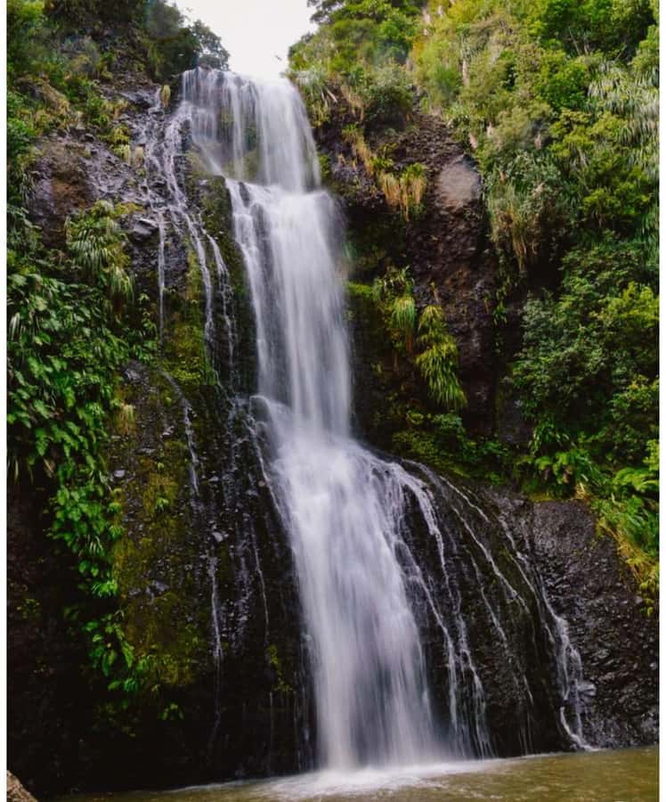 Auckland: Piha Beach, Rainforest, & Mount Eden Private Tour - Is $262 per person fair value?