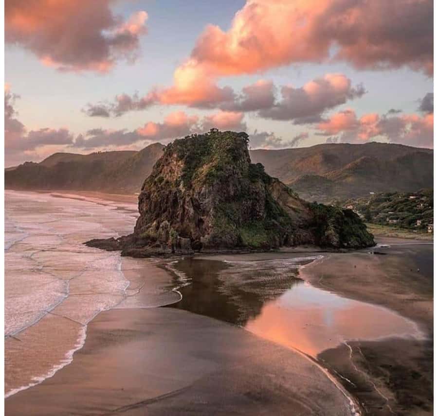 Auckland: Piha Beach, Rainforest, & Mount Eden Private Tour - Arataki Cultural Centre and the Waitākere Ranges