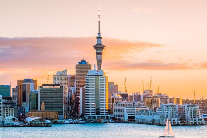 Auckland Private Custom Walking Tour with A Guide (Private Tour) - What your meeting at the accommodation adds