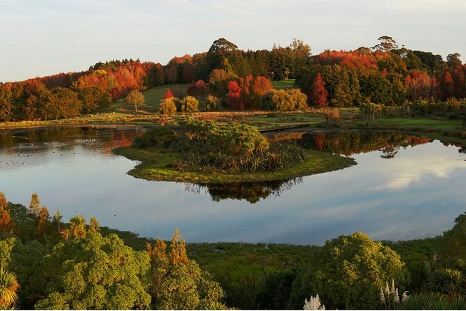 Auckland Private Custom Walking Tour with A Guide (Private Tour) - Is $61.06 per person good value?