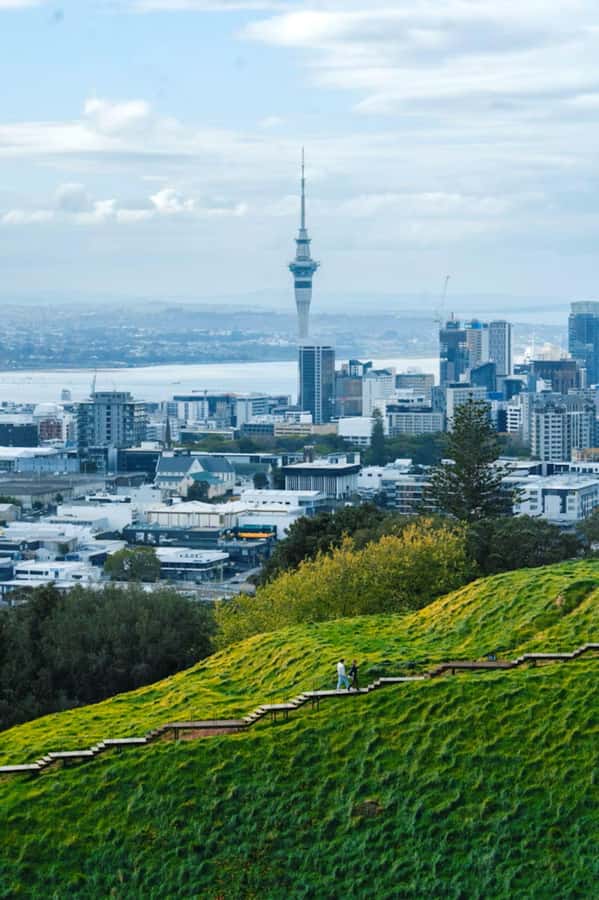Auckland: Private Walking Tour with a Local - Key points to know before booking