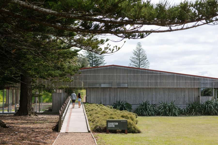 Auckland: Rotoroa Island and Man O'War Vineyard Combo Tour - Rotoroa Island: two hours for tracks, wildlife, and the beach