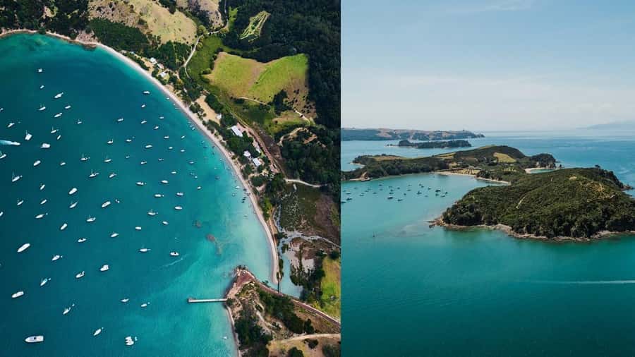 Auckland: Rotoroa Island and Man O'War Vineyard Combo Tour - The cruise from Auckland across the eastern Hauraki Gulf