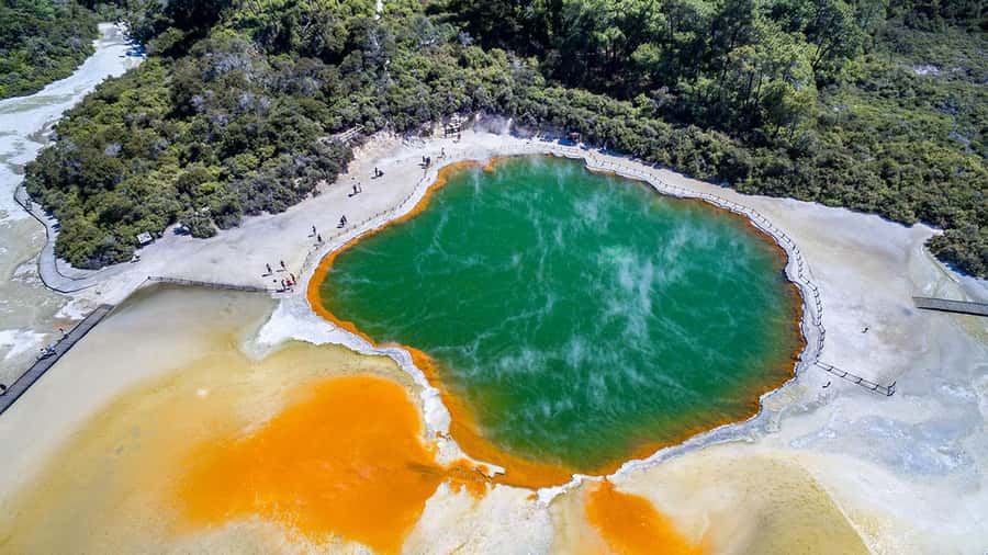 Auckland: Rotorua Highlights inc Wai-O-Tapu & Polynesian Spa - Should you book the Rotorua Highlights tour?