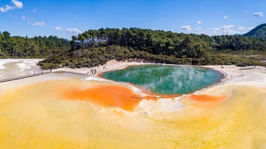 Auckland: Rotorua Highlights inc Wai O Tapu & Te Puia Tour - Lunch in Rotorua, with planning required