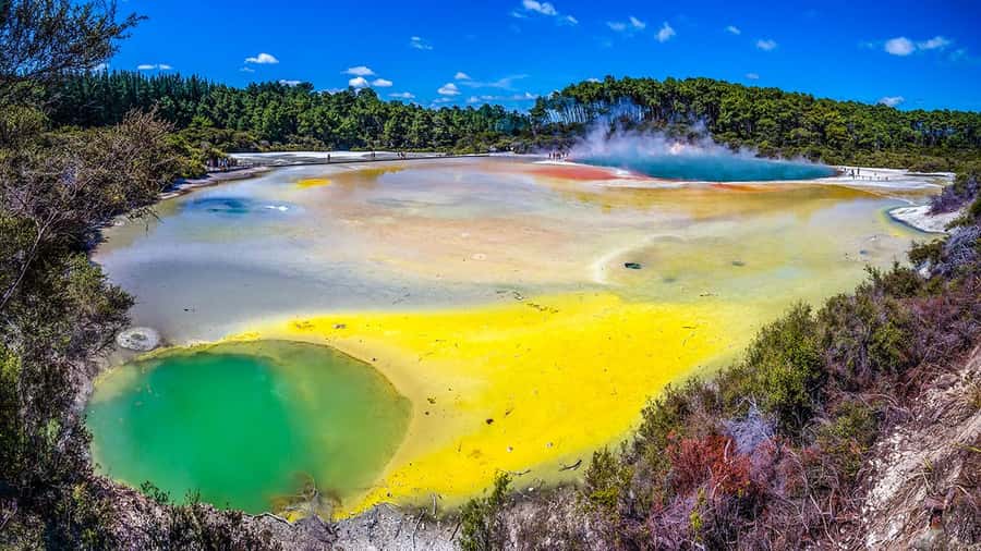 Auckland: Rotorua Highlights w WaiOTapu & Redwoods Treewalk - Key points at a glance