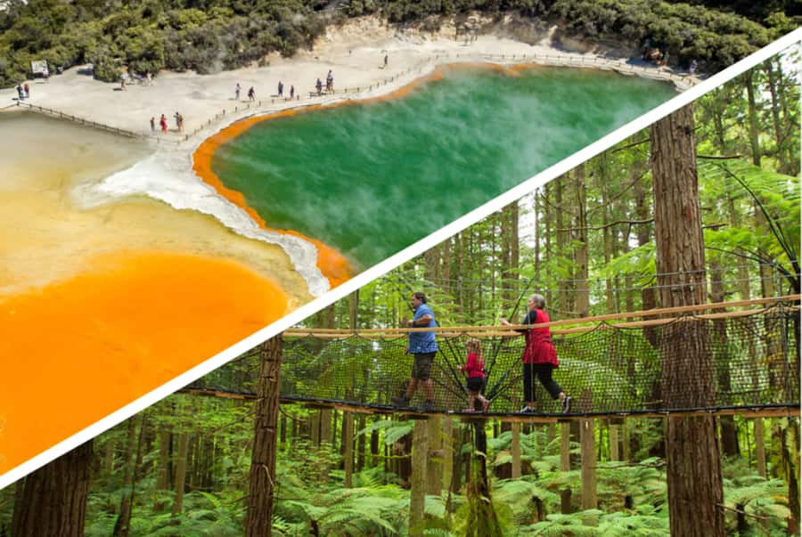 Auckland: Rotorua Highlights w WaiOTapu & Redwoods Treewalk - Why this day trip works from Auckland