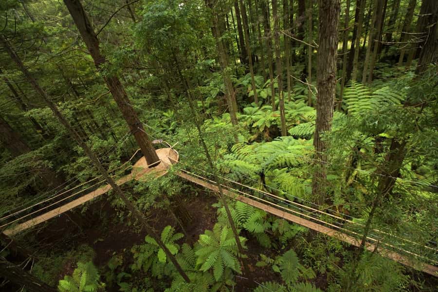 Auckland: Rotorua Highlights with Redwoods Treewalk & Spa - Tīrau’s corrugated-iron oddities