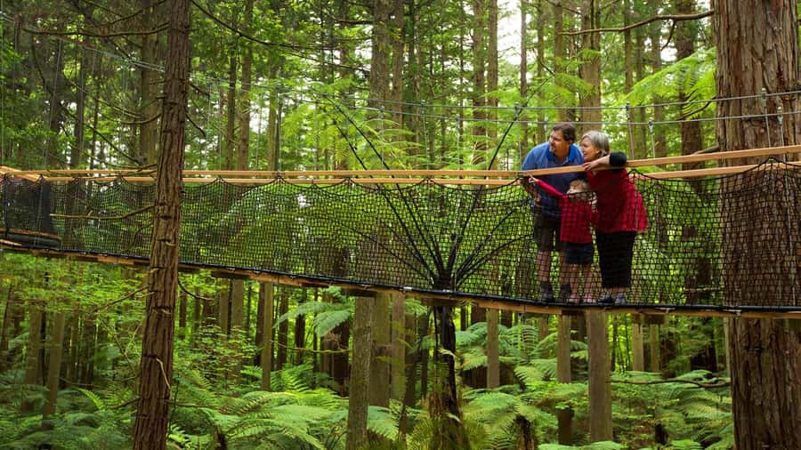 Auckland: Rotorua Highlights with Redwoods Treewalk & Spa - Two hours at Polynesian Deluxe Lake Spa
