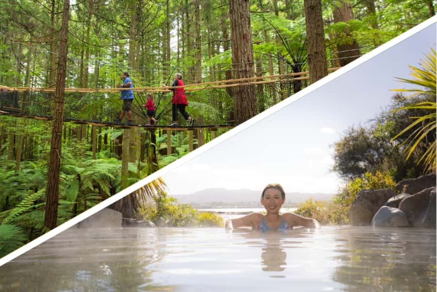 Auckland: Rotorua Highlights with Redwoods Treewalk & Spa - Leaving Auckland for the Waikato
