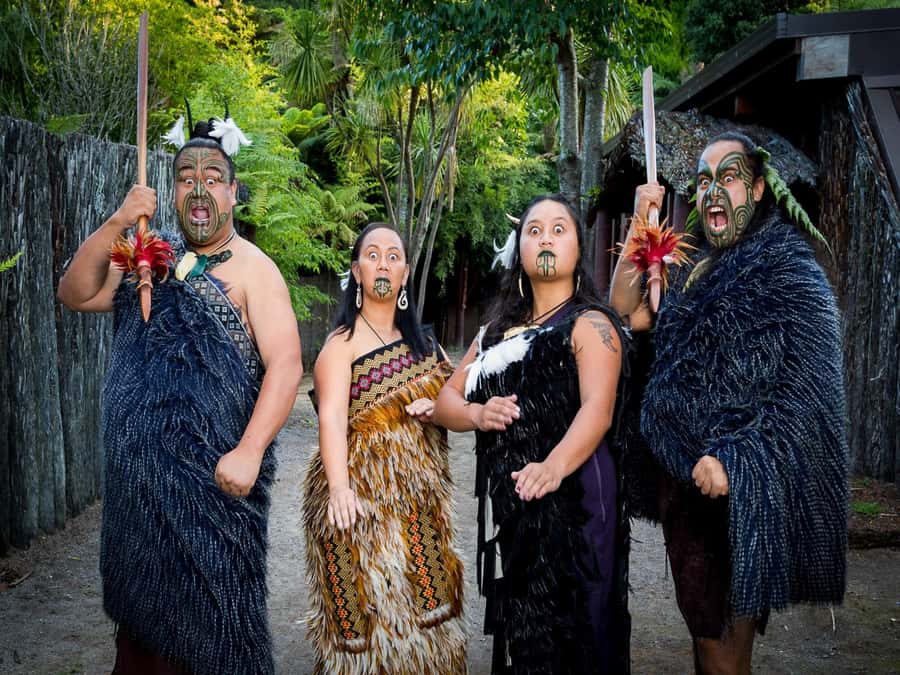 Auckland: Rotorua Māori Cultural & Geothermal Tour & Lunch - Key points at a glance