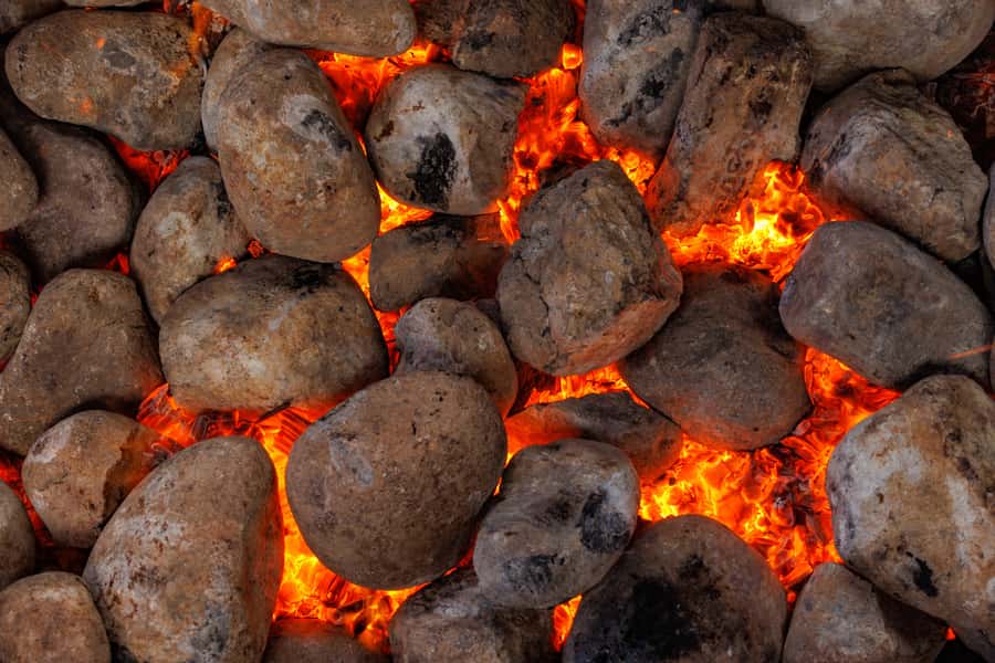 Auckland: Rotorua Māori Cultural & Geothermal Tour & Lunch - A long but useful Auckland to Rotorua day