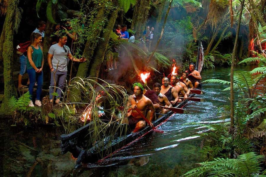 Auckland: Rotorua Māori Cultural & Geothermal Tour & Lunch - Is the $264 price good value?