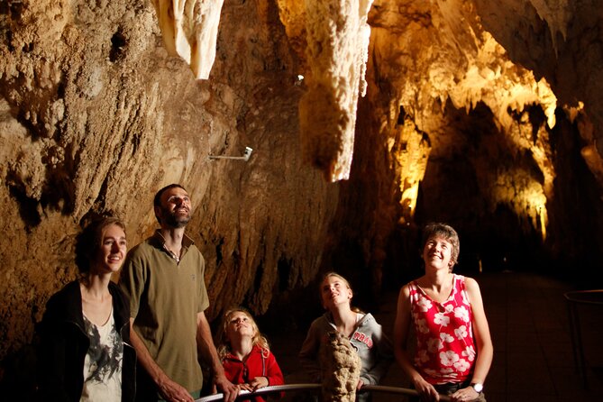 Auckland: Rotorua Māori Village, Waitomo Caves & Lunch - Waitomo turns the day from steam to stars underground